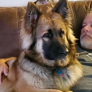 Meet your Posher, Eddie